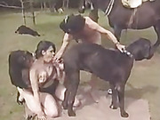Компания зоофилов занимаются сексом с собакой и конем