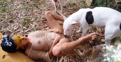 Девушка готова трахнуться с двумя собаками